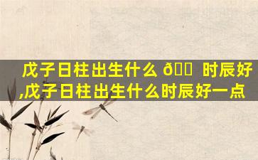 戊子日柱出生什么 🐠 时辰好,戊子日柱出生什么时辰好一点